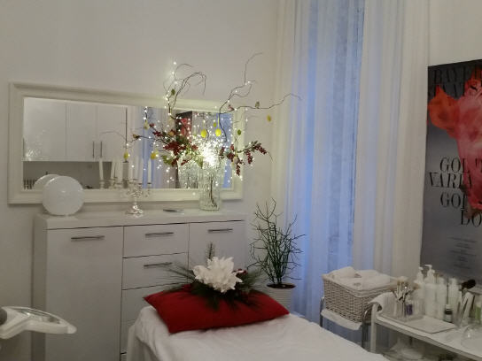 Salon1